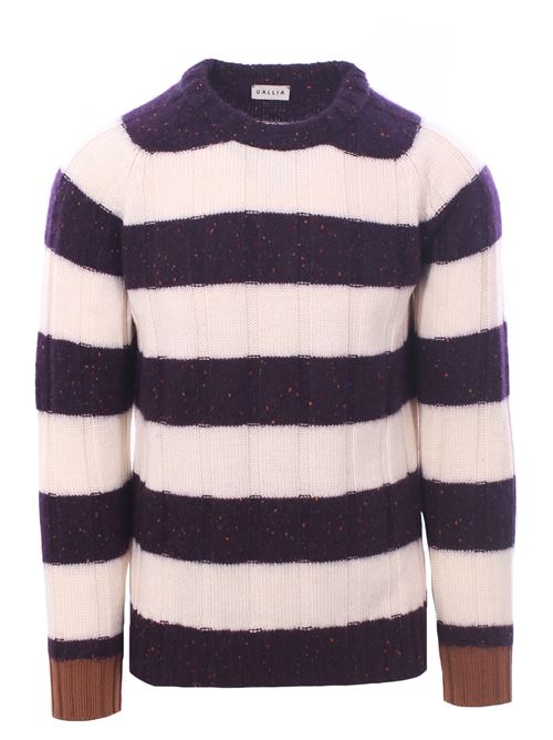 two-tone crew neck GALLIA | BATTON10