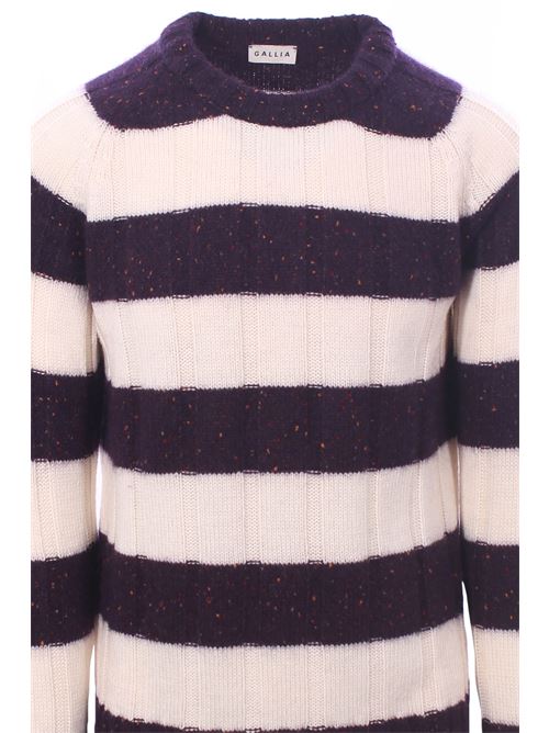 two-tone crew neck GALLIA | BATTON10