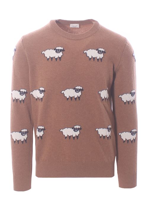 crew neck sheep GALLIA | FARMER131