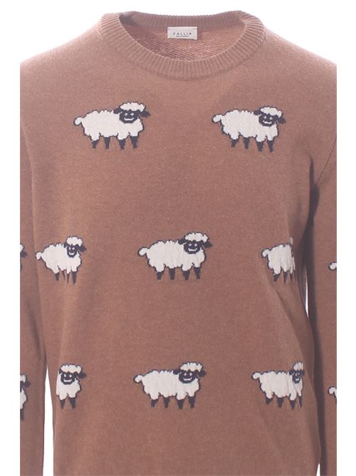 crew neck sheep GALLIA | FARMER131