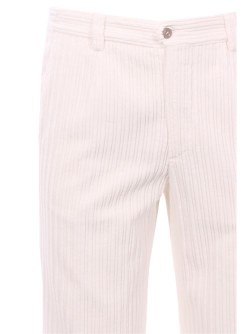 velvet carrot pants BRIGLIA | PORTOFINOD-041120