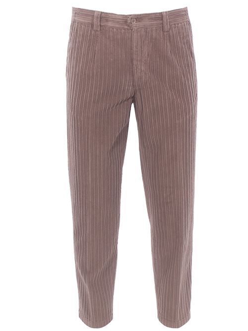 velvet carrot pants BRIGLIA | PORTOFINOD-04136