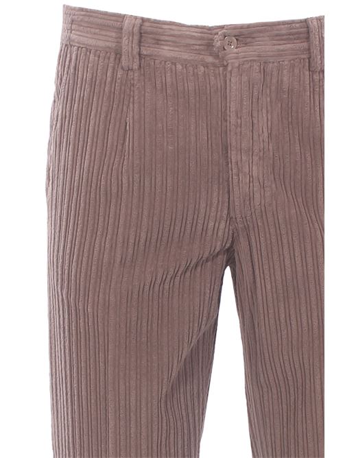 velvet carrot pants BRIGLIA | PORTOFINOD-04136