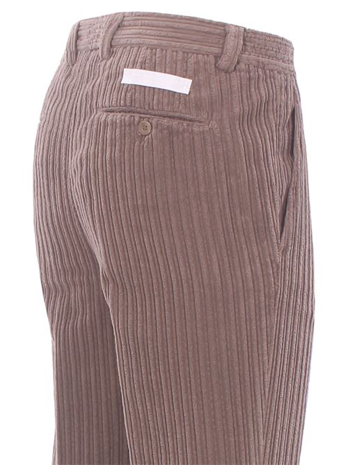 velvet carrot pants BRIGLIA | PORTOFINOD-04136