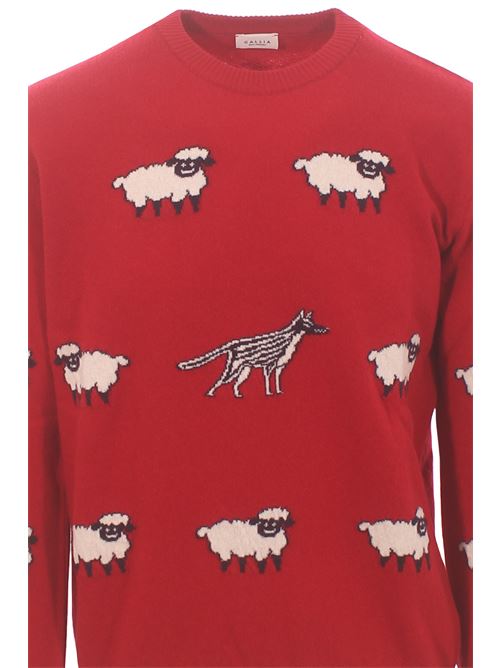 merino wool crew neck GALLIA | WOLF41