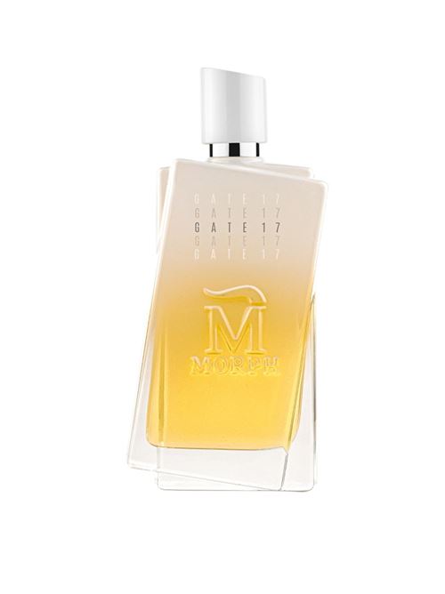 morph gate17100 ml vapo MORPH | MORPHGATE17