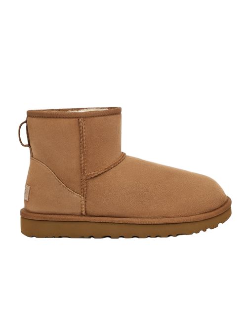 classic mini ll UGG | W1016222CHE