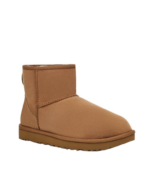 classic mini ll UGG | W1016222CHE