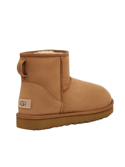 classic mini ll UGG | W1016222CHE