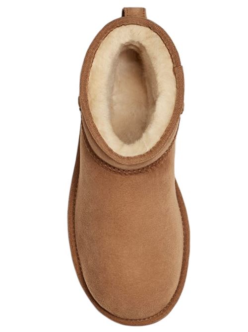 classic mini ll UGG | W1016222CHE