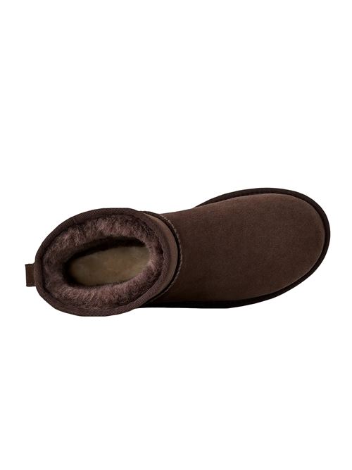 classic mini ll UGG | W1016222DDC